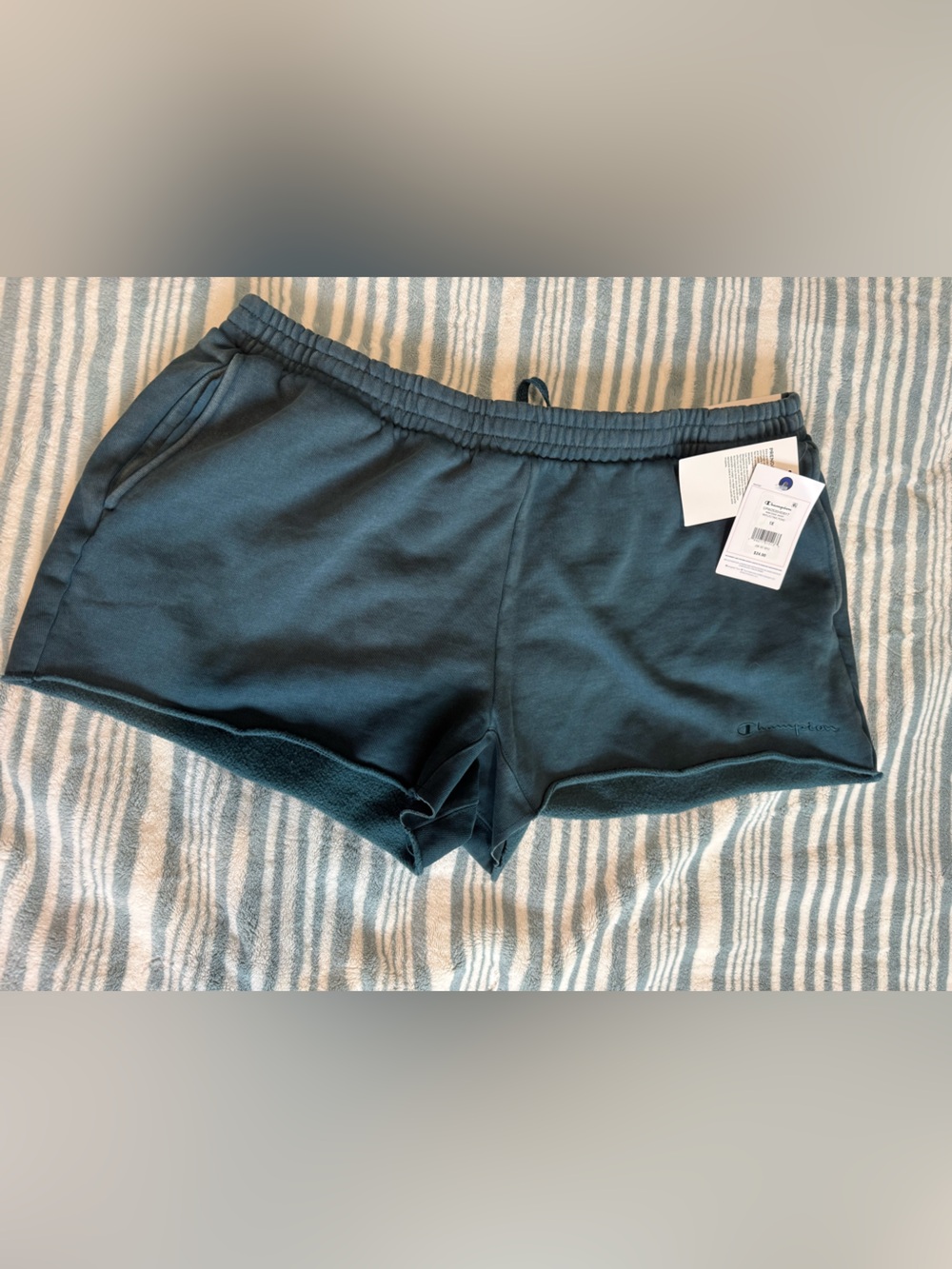 Champion Women’s Vintage Wash Athletic Shorts NWT 1X
